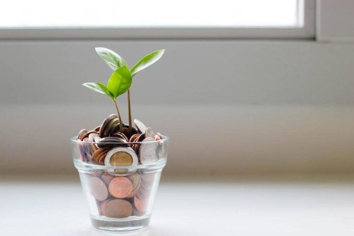 Imagem de um vaso de plantas com moedas no lugar da terra.